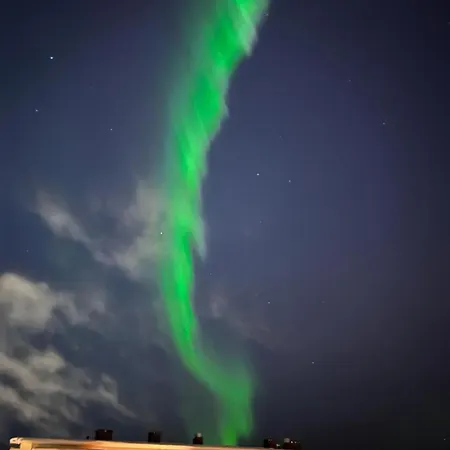 Kaarnikkarakka Rovaniemi