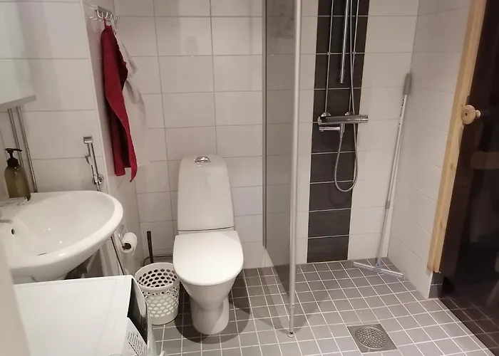 Kaarnikkarakka * Рованиеми